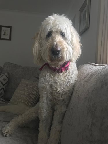 tilly